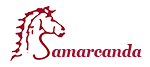 logo_contatti